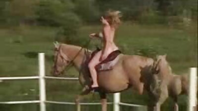 Vroča rit rjavolaska je trd črn kurac